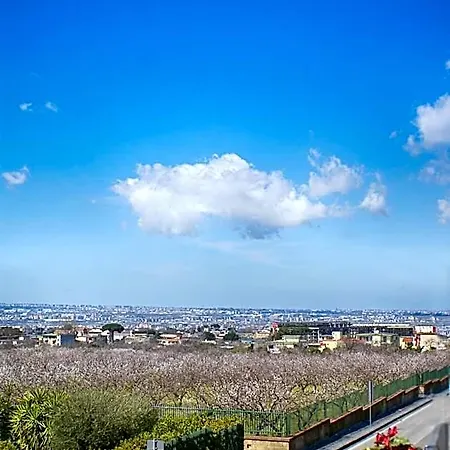 Sommavesuvio Bed & Breakfast Pollena Trocchia